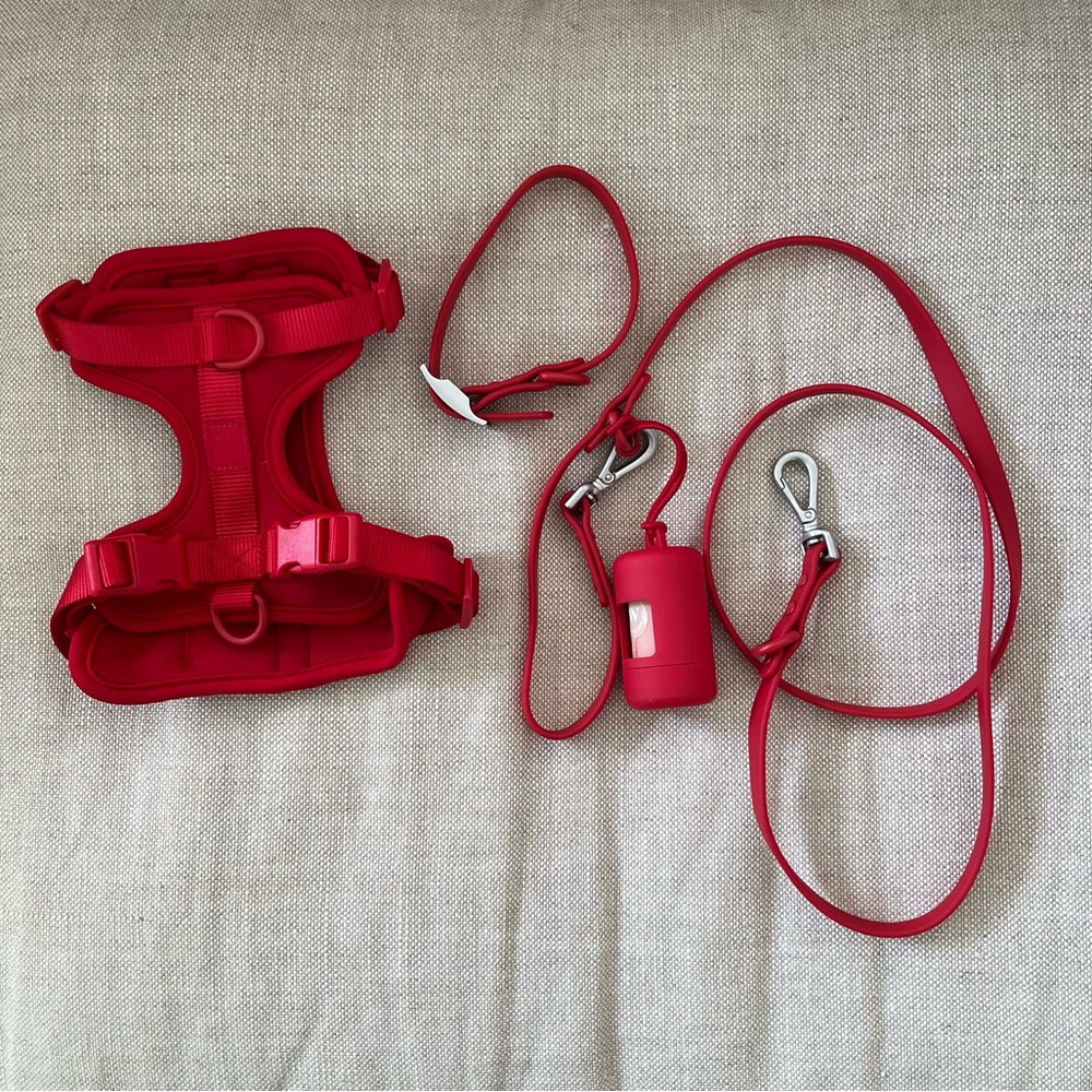 Wild One Small Dog Walk Kit in Red + Collar